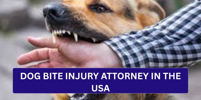 Dog Bite Injury Attorney in the USA